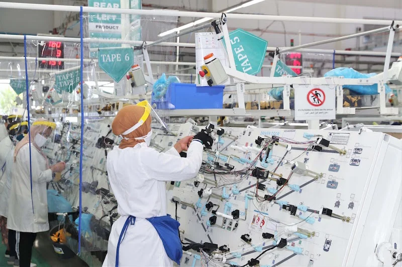 BAM says Morocco's labor market experiences rebound, mainly for women