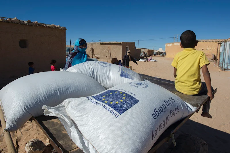 Activists voice concern over Polisario’s militarization of children