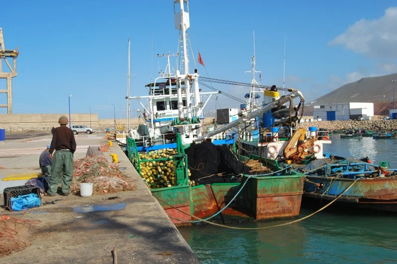 NGO sounds alarm on illicit indiscriminate fishing in southern Moroccan waters