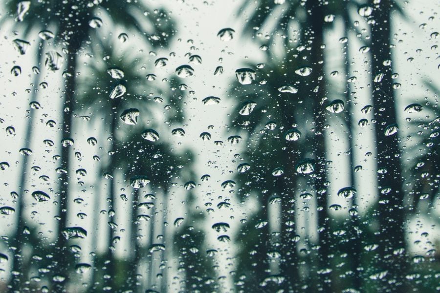 Rainwater unfit for consumption everywhere on Earth, study finds