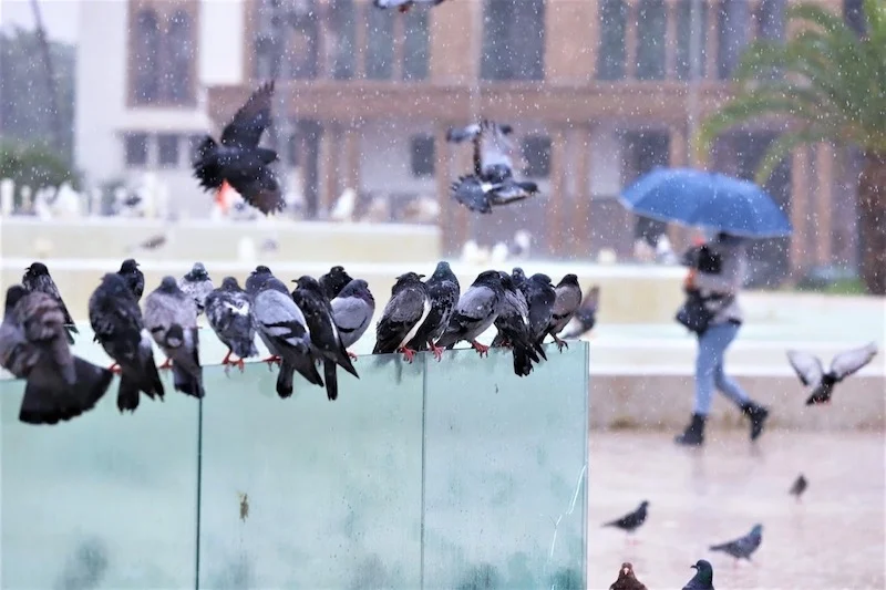 Weather alert: Morocco to experience thundershowers Tuesday to Wednesday