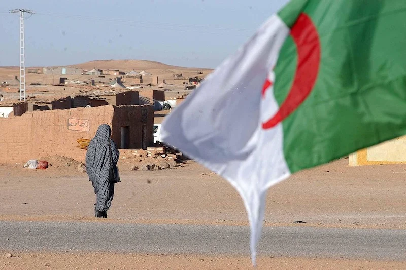 NGOs call for unrestricted UN access to Tindouf camps at Human Rights Council