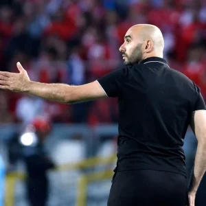 ‘Only a crazy coach like me would accept this job’, says Walid Regragui before AFCON