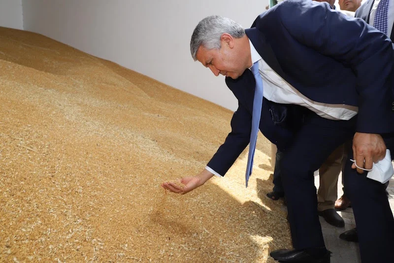Morocco receives 200 million euros loan to increase wheat production