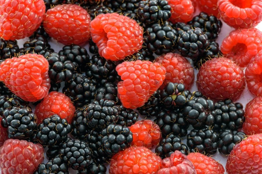 Agriculture Ministry: Morocco's exports of red fruits grow by 13%