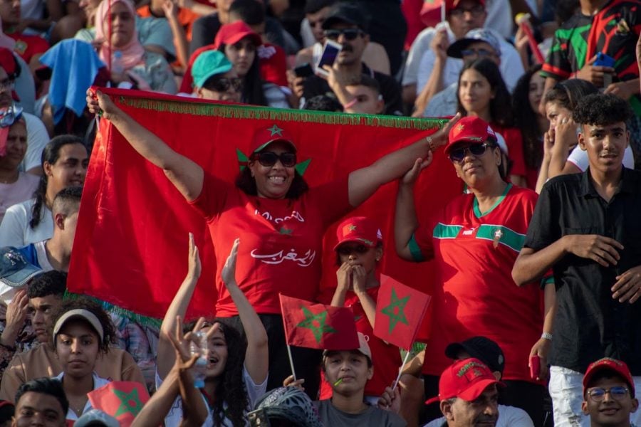 Alas Lions defeat Georgia by 3-0 in friendly