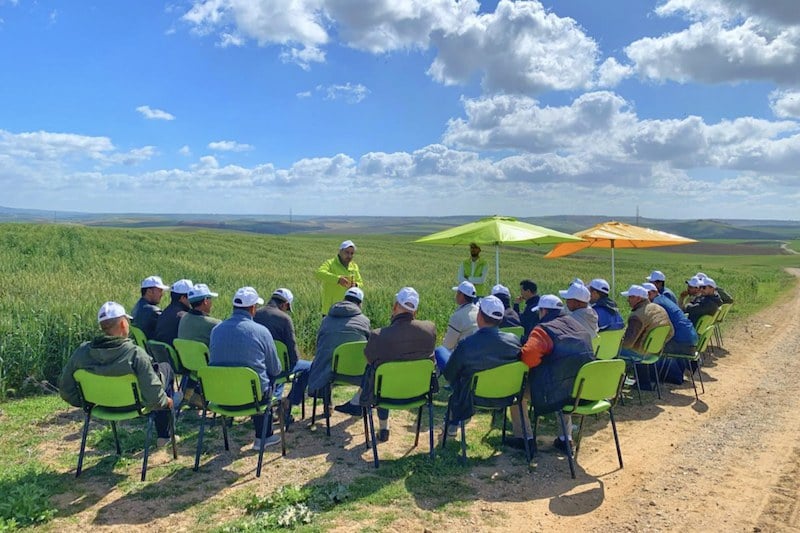 OCP Group’s Al Moutmir initiative announces launch of direct planting program