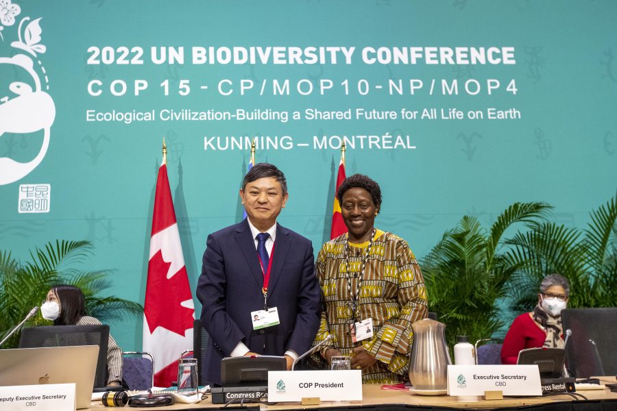 UN's COP15 pledges to protect third of world’s biodiversity