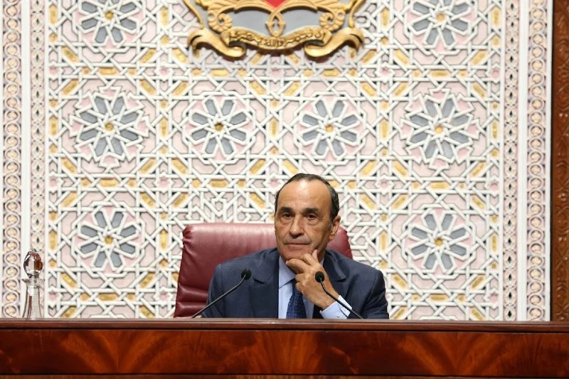 Habib El Malki resigns from his position after recent royal appointment