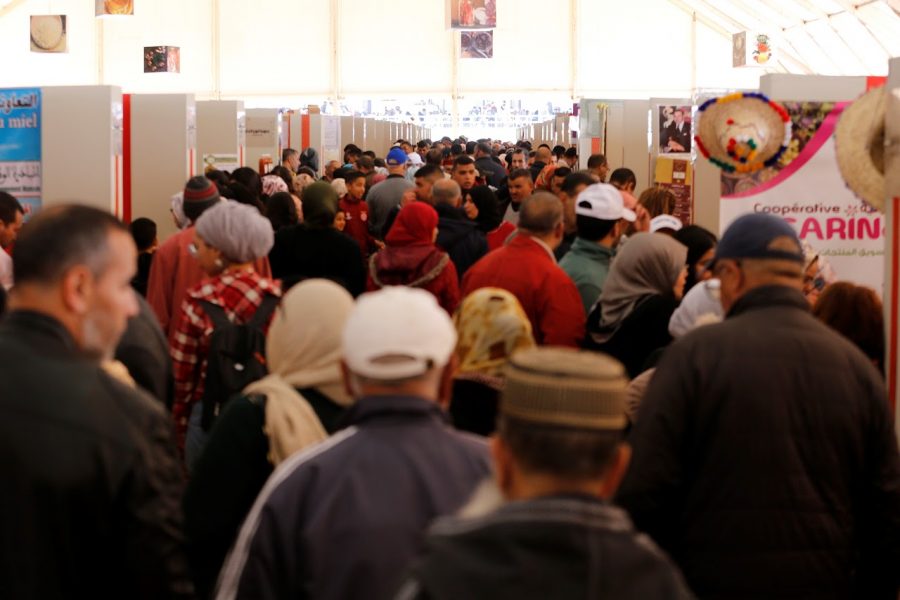 SIAM returns to Meknes after a 3 years forced hiatus