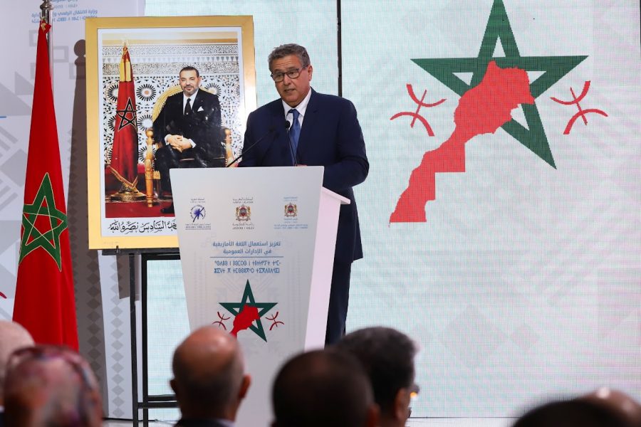 Akhannouch sees success in government's implementation of medical, social coverage project