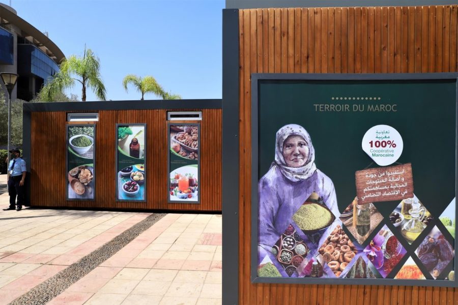 Study finds 'Murafaka' program helped 57% of Moroccan agriculture cooperatives grow