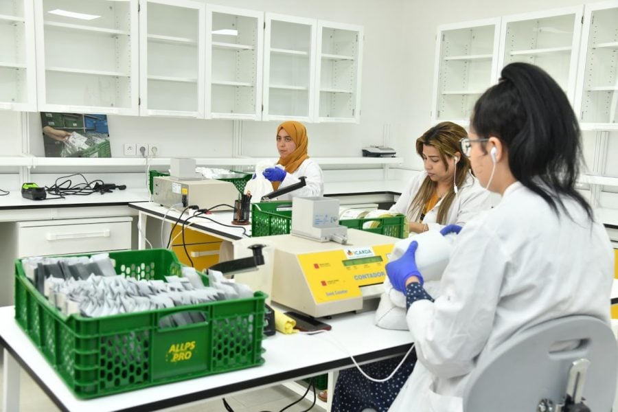 US mission to celebrate Moroccan women in STEM in new initiative