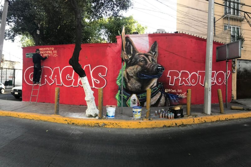 Mexico pays tribute to dog who died in turkey looking for earthquake survivors