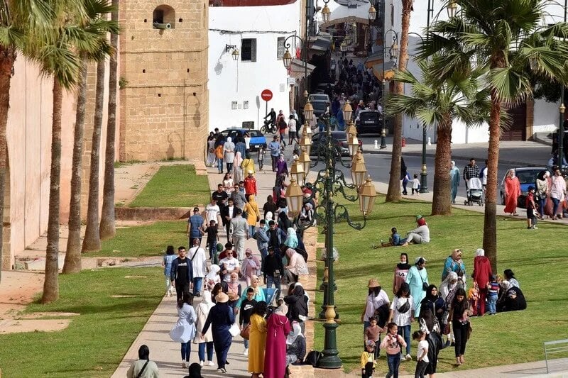 Disabled Moroccans are facing severe hardships in employment market, finds study