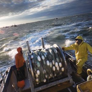 Spanish professionals lament lagging renewal of fishing agreement with Morocco