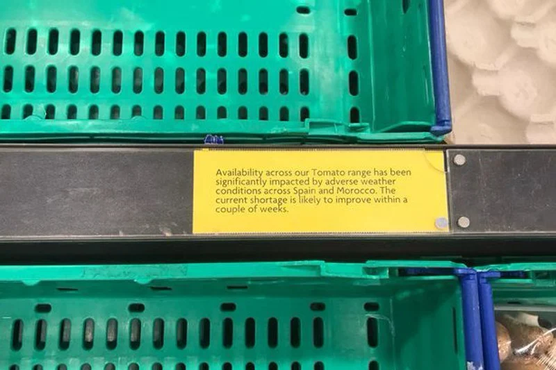 British citizens complain about tomato scarcity after Morocco ceased exports