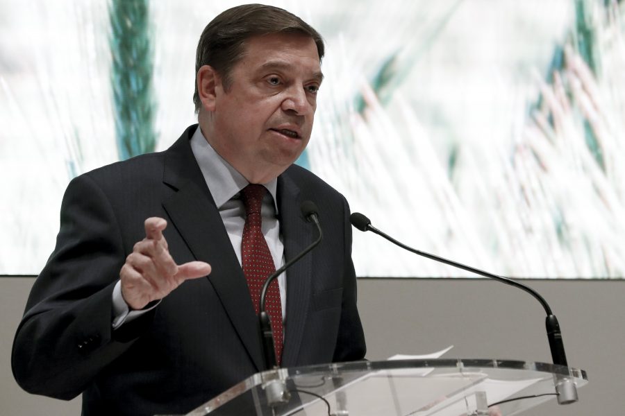 Spanish Minister calls Sahara products label debate a political campaign, says he’s glad it failed