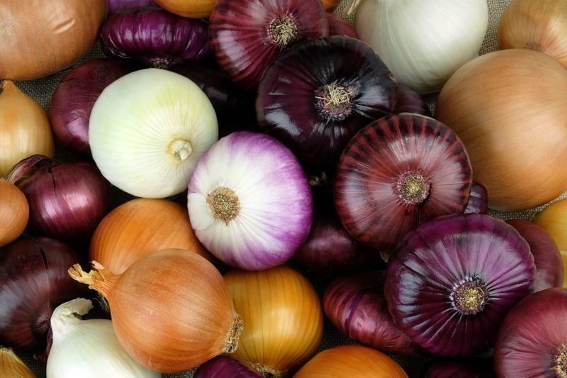 Morocco unaffected by French ban on fruits and vegetables