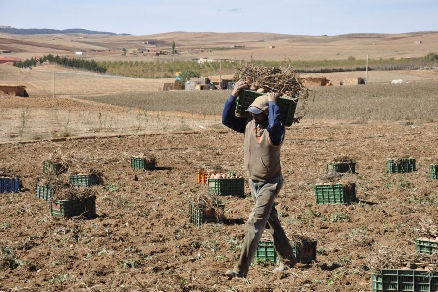 Undernourishment among Moroccans surges by over 30% in just three years