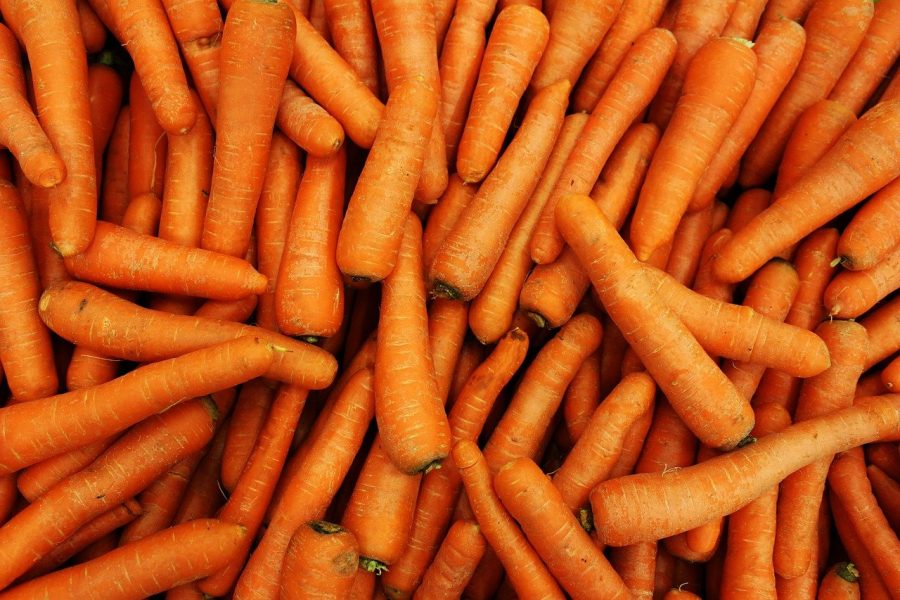 Morocco’s carrot exports to Spain skyrocket as EU partners battle drought