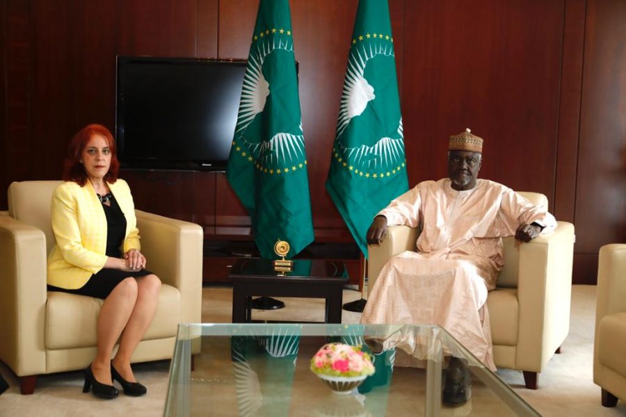Algerian manoeuvres to derail Moroccan appointment to AU fail