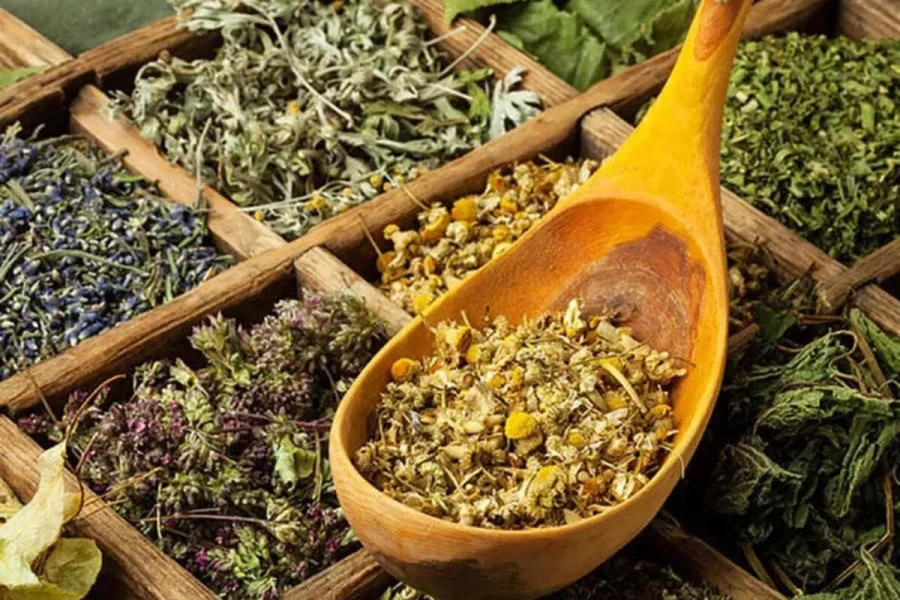 AROMAPLANT EXPO: Morocco's First National Exhibition of Aromatic and Medicinal Plants