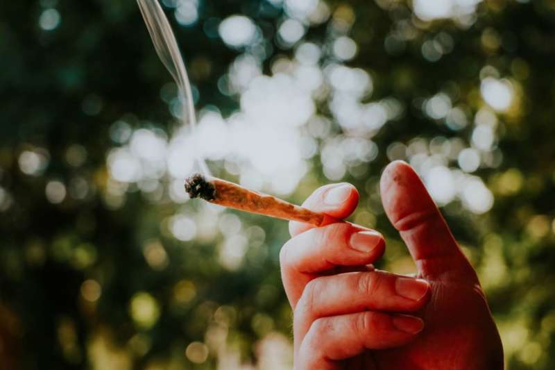 Activists demand public debate on legalizing recreational cannabis in Morocco