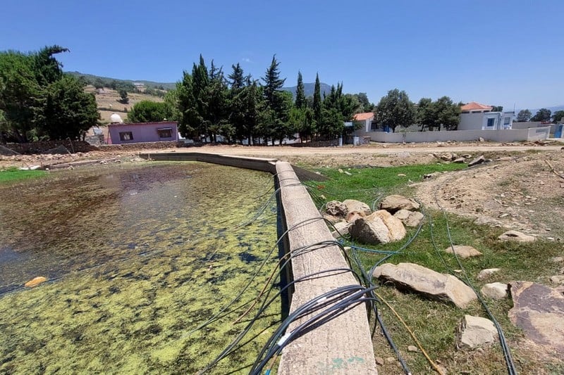 Locals in Cannabis-growing areas complain about illicit water diversion from ‘powerful figures, drug dealers’