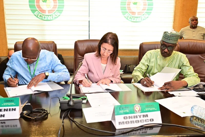 Four more African countries to participate in gas pipeline project