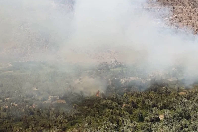 Forest fires break out in Targua N'touchkha, South of Morocco