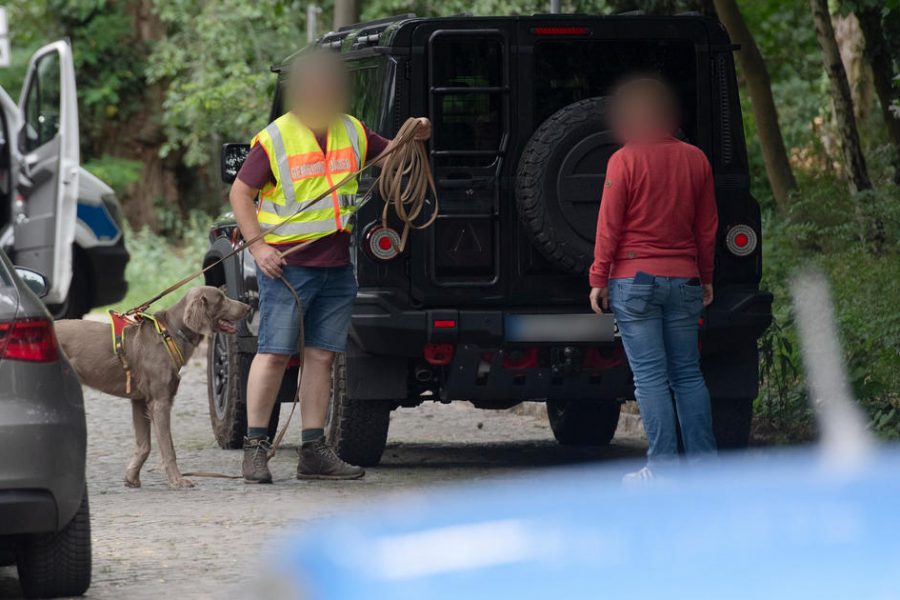 Police hunt lioness still on the loose around Berlin