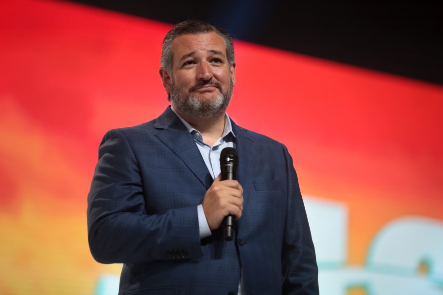 US senator Ted Cruz welcomes Israel's recognition of Morocco’s sovereignty over Sahara
