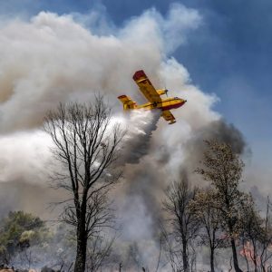 Morocco records 310 forest fires since January, with 1,850 hectares burned