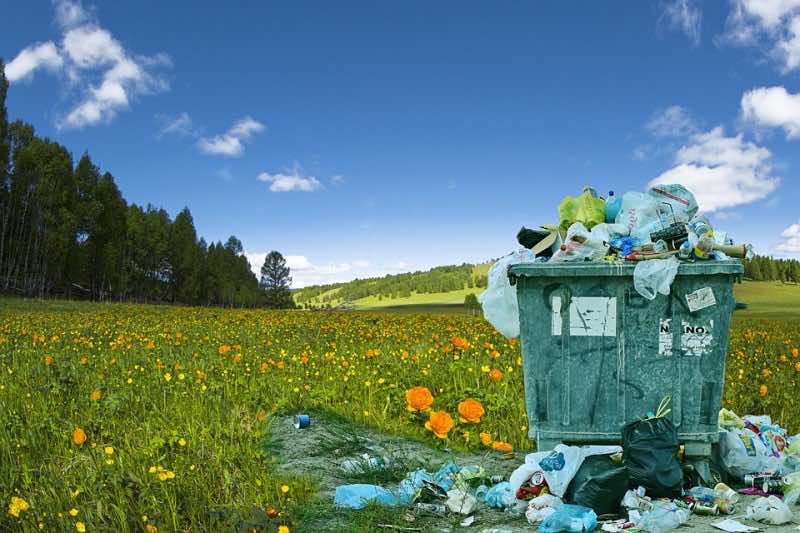 Morocco leads North Africa in household food waste disposal, ranks fourth globally