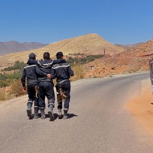 Morocco earthquake: Sorting fact from fake news