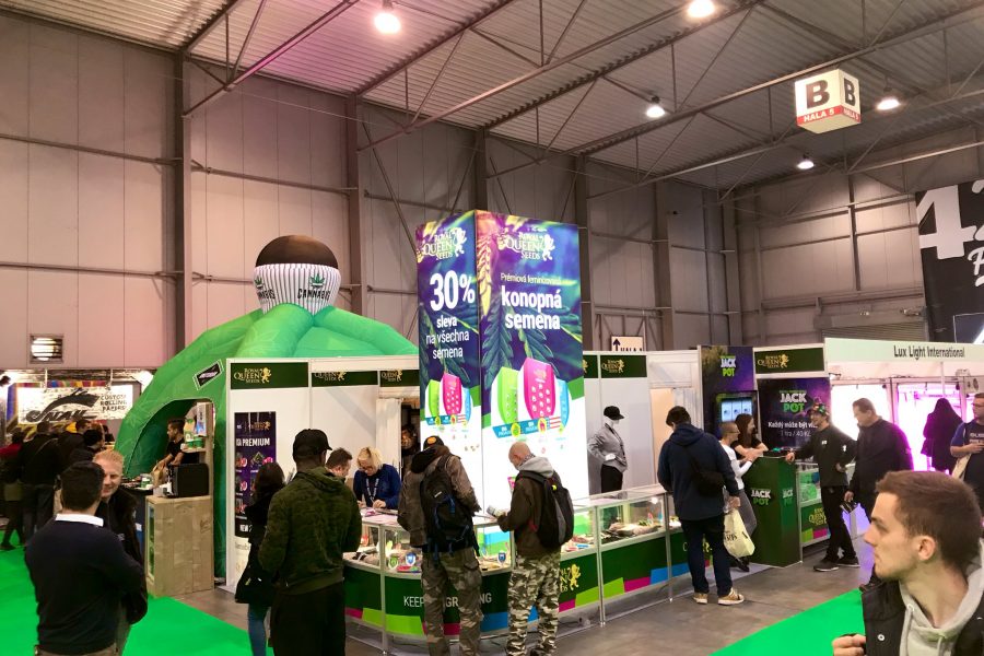 Morocco's legal cannabis goes to Prague's Cannafest