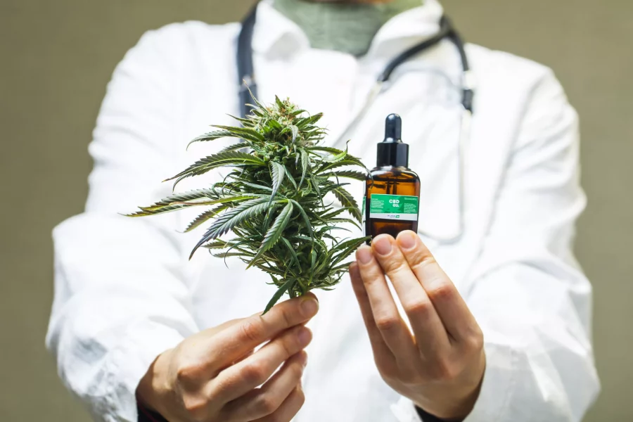 Study: Morocco has strong potential to build medical cannabis drug industry