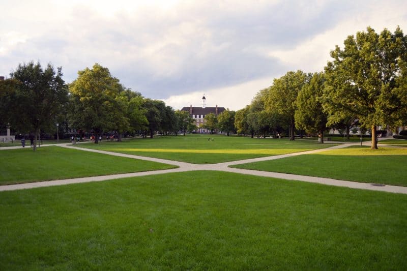 University suspends groups  over pro-Palestine protests