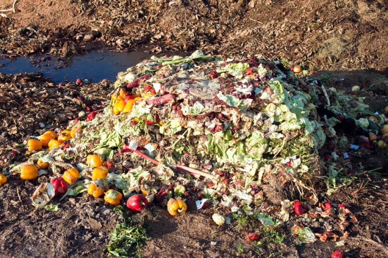 Moroccan households wasted 4.2 million tons of food in 2022, equivalent to 113 kg per person, CESE report says