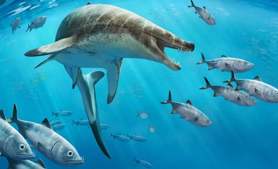 66 million year-old 'nightmarish' sea sea lizard fossil unearthed in Morocco
