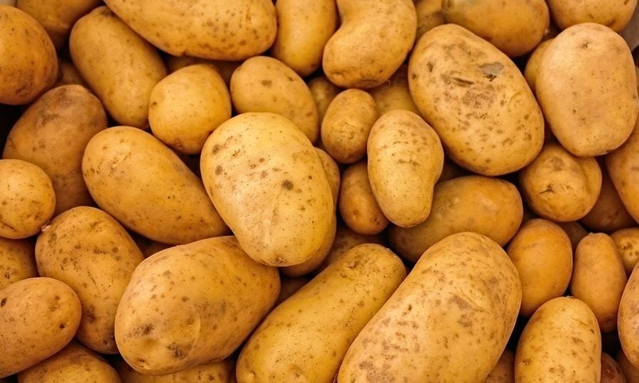 Morocco opens doors to Egyptian potatoes to meet domestic needs