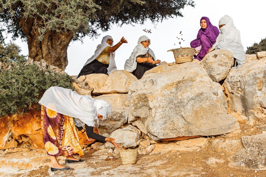 In Pictures: How did mediaeval Moroccans preserve the Argan tree?