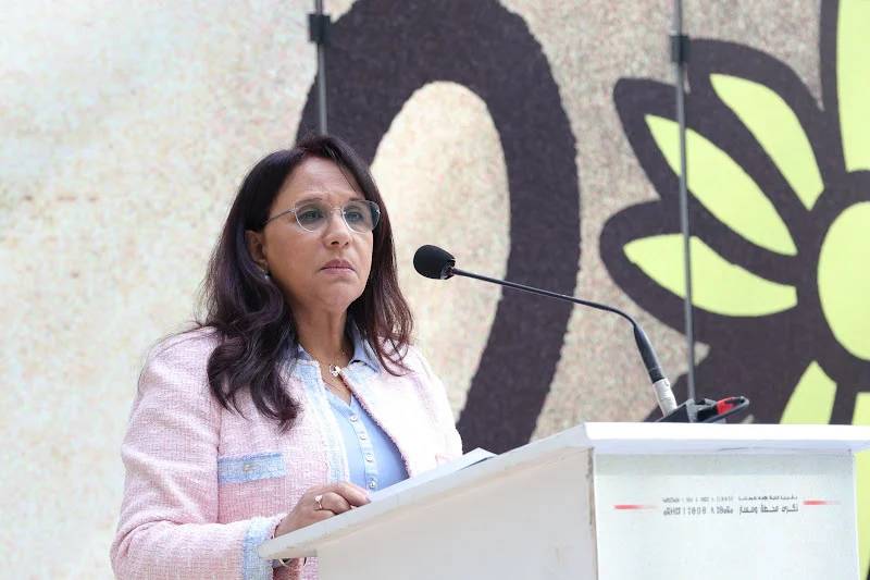 UN report cites two Moroccan rights council initiatives as good practices