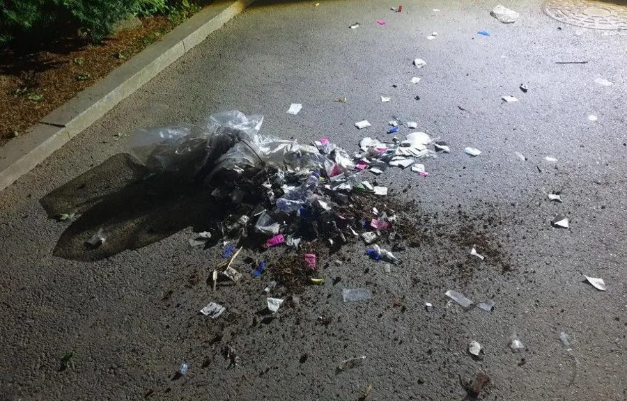 North Korea drops balloons of waste on South Korea