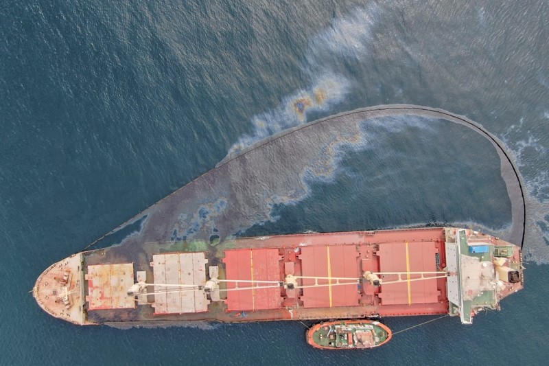Conservationists fear lasting damage after largest oil spill in Ceuta history