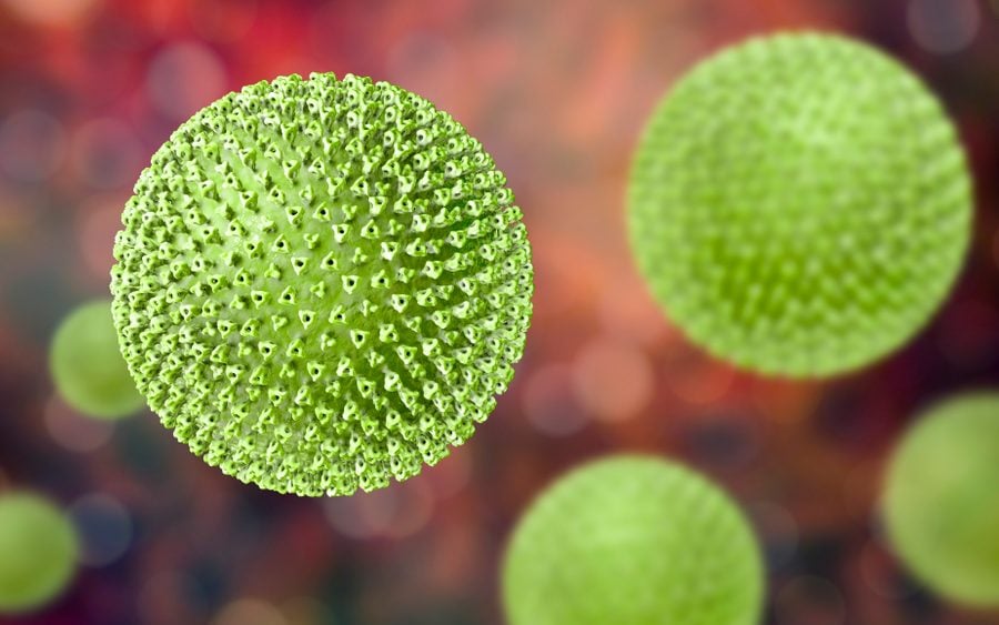 Brazil records world's first Oropouche virus deaths: ministry