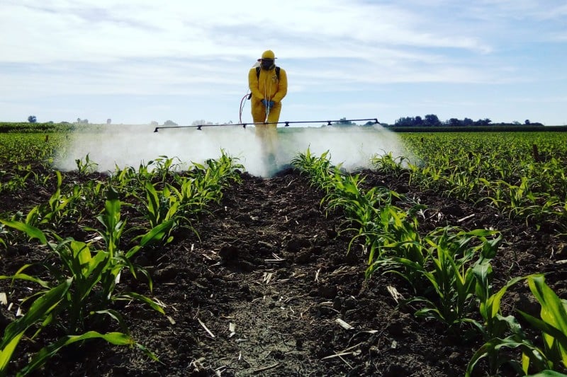 Morocco implements stricter measures on agricultural pesticides