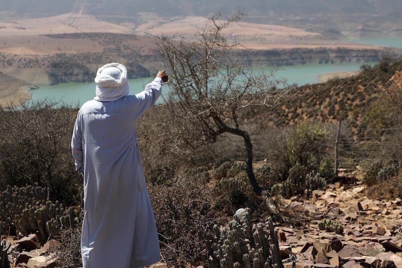 Farmers forced to uproot fruit trees amid drought