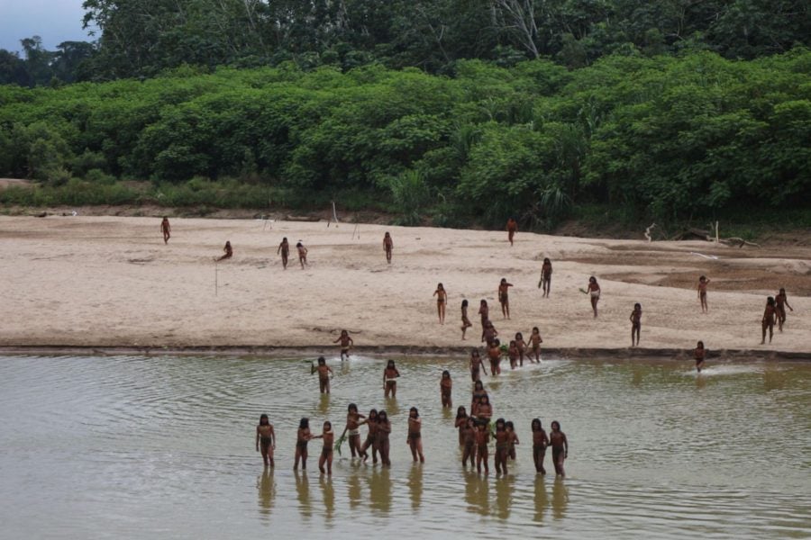 Uncontacted Mashco Piro tribe kills loggers encroaching on their land in Peru